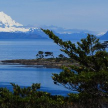 Punta Arenas and its surroundings